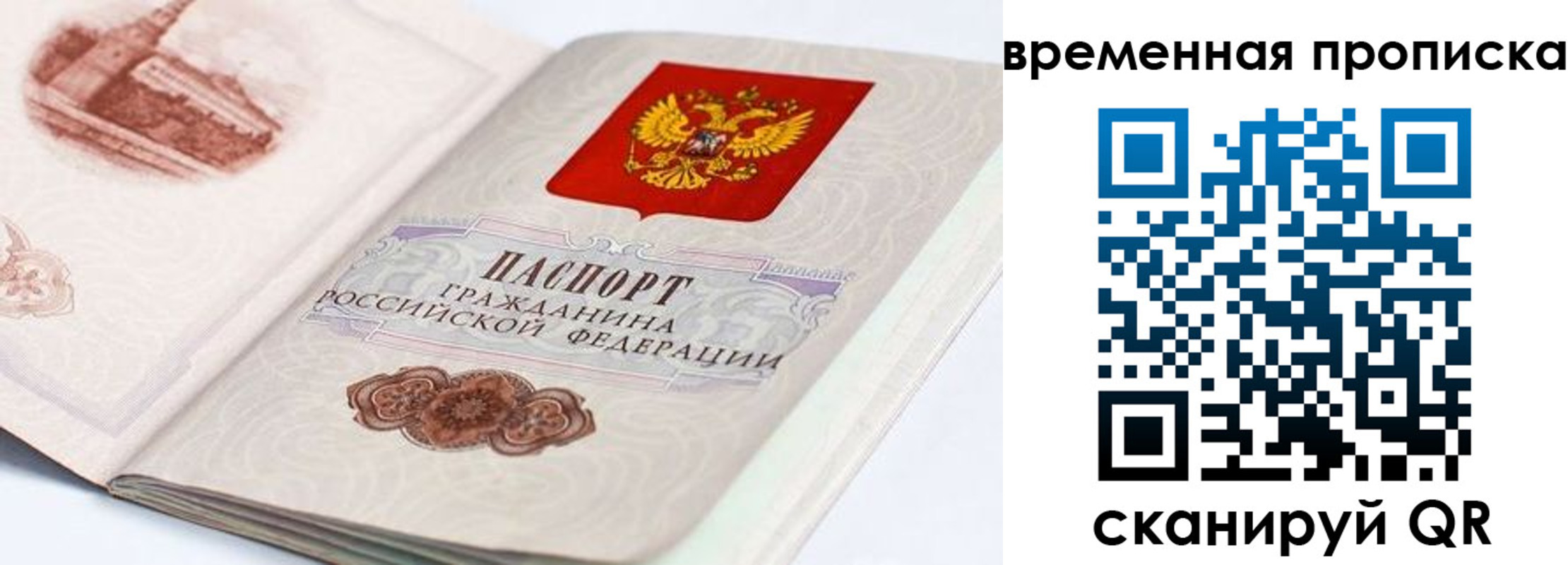 прописка 2025 в Волгограде